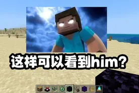 我的世界：这样可以看到him？