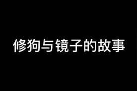 原来修狗不知道镜子里面的是它自己😂视频封面