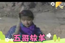 王二妮等五位歌星用五种不同风格演唱同一首歌《五哥放羊》