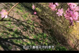 男人说“想你了”是什么意思，教你三招判断是喜欢你还是广撒网视频封面