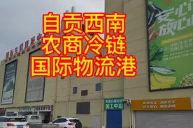 自贡西南农商国际冷链物流港视频封面