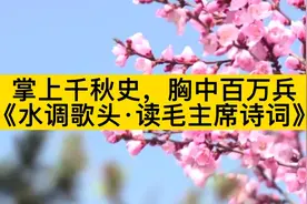 “掌上千秋史，胸中百万兵”，高亨之《水调歌头·读毛主席诗词》视频封面