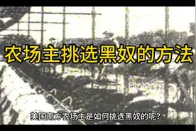 美国农场主挑选黑奴的方法视频封面