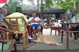 两口子各骑一辆摩托车，成都周边到处游，安逸，今天彭镇看热闹视频封面