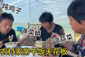农村午饭天花板，中午三样家常美味，炖鸡子蒸菜蟒调蒜菜，美得很视频封面