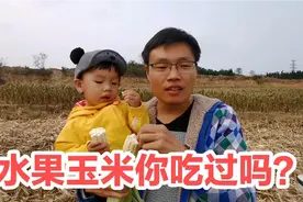 10元14个！山东荣成种出能生吃的水果玉米，甘甜多汁，你吃过吗？视频封面