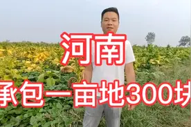 河南郏县承包一亩地300块，你们那有这么便宜的地吗？视频封面
