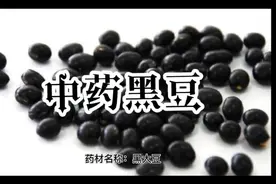 中药黑豆的功效与作用。中药，中草药。药食同源。