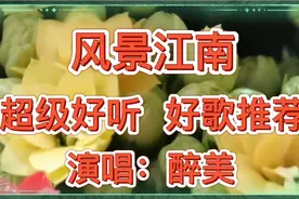 《风景江南》漫步在风景秀丽的江南水乡，撑把油纸伞把水墨江南赏视频封面