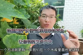 钓鲢鳙的“水怪”这样用来钓草鱼，事半功倍，让你钓的又多又大。视频封面