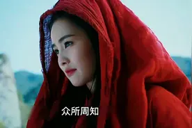 痴情王爷追不到女将军，竟对仿主也如此痴迷视频封面