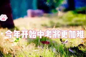 今年开始中考将更难视频封面