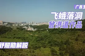 舒照勋有幸参观讲解曾洪道作品《飞蛾落洞》广西玉林视频封面