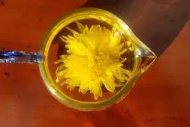 心素如简，人淡如菊，不与人争，不恋浮云视频封面