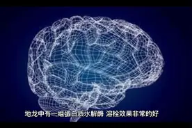 服用地龙参须汤的好处视频封面