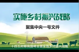 乡村振兴的五大核心？在什么上下功夫？视频封面