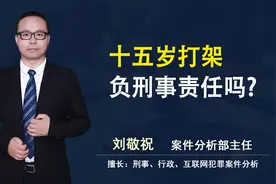 十五岁打架负刑事责任吗？视频封面