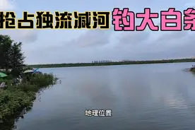 清晨的场地争夺战，为了独流减河的大白条，天津人也是拼了！视频封面