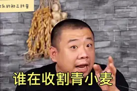 拍视频号召农民割青小麦卖饲料，事出反常到底谁在背后做梗？视频封面