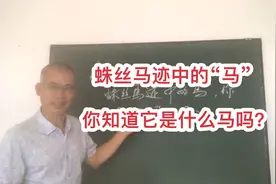 蛛丝马迹中的“马”，你知道它是什么马吗？