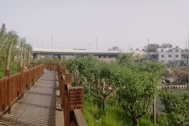 瀍河两岸拆迁进行中，美景显现视频封面