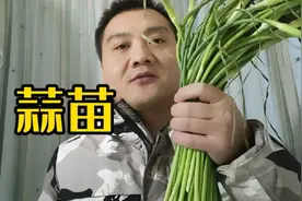 糖友吃蒜苗，真的会被催升血糖吗？今天来好好验证一下！视频封面