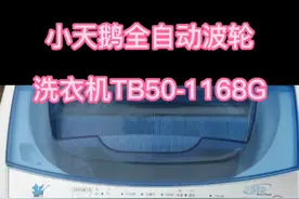 小天鹅全自动波轮洗衣机TB50-1168G手工清洗方法视频封面