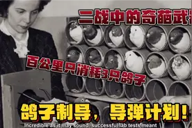 鸽子制导导弹问世，百公里只消耗3只鸽子，二战中出现的奇葩武器视频封面