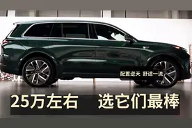 25万左右，选它们就对了，电吸门+空气悬，自带头等舱，家用最棒