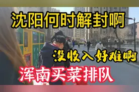 沈阳疫情早些结束，我们恢复正常生活，春暖花开 山河无恙视频封面