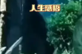 人生感悟，语录，人生苦短，自已的路，自已决定方向，大家来听视频封面