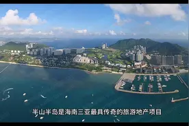 中弘股份半山半岛重整加速视频封面