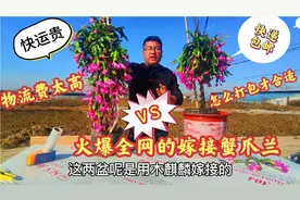 快递和物流费用差距太大，到手比产地贵一倍，网友们怎么发货合适视频封面