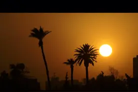 为什么网站变灰色？视频封面