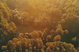 【经典老歌】说再见，再见不会太遥远！朋友，我永远祝福你！视频封面