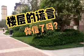 楼层的谎言，你信了吗？视频封面