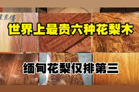世界上最贵的6种花梨木，缅甸花梨仅排第三，第一种2000一斤起步视频封面