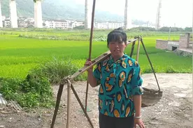 农村大姐用这种草喂鸡，产蛋高，一年节省分不少饲料钱，真会持家视频封面