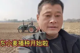山东小麦播种开始，看看一亩地合多少斤？农民小伙说出实情视频封面