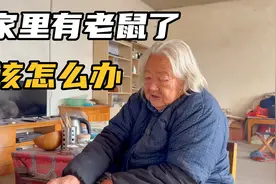 奶奶家里突然发现了老鼠，要不要去给老人买个猫？这下麻烦了