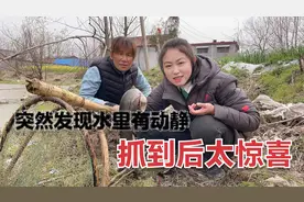 婆媳在河边栽树，突然发现水里有条大鱼，抓到后太让人开心视频封面