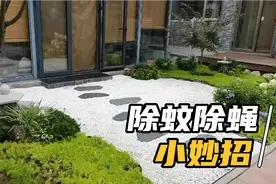 京郊小院改造记，为大家分享几个消灭庭院蚊蝇的小方法，简单实用视频封面