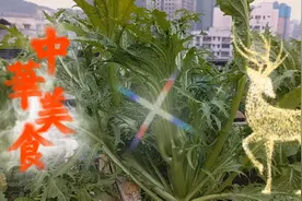 晚餐吃点啥？独特的青菜，清爽甘甜，吃了还想，小时候的味道