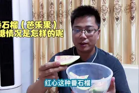 番石榴的升糖指数高吗？吃一个红心番石榴看看血糖变化情况！