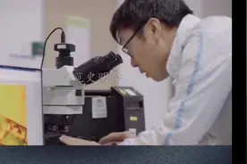清华尖端人材在美国硅谷有二万多人，且有百分之九十五定居在美国视频封面
