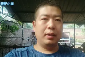 农户家里养的甘肃驴，养了10个月平均380斤，养驴怎么能挣到钱？
