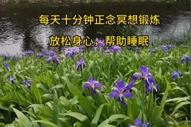 每天十分钟正念冥想，放松身心，帮助睡眠！视频封面