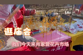石家庄肖家营民俗文化庙会真热闹，跟着董妈一起去逛逛吧！视频封面