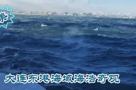 大连东港海域出现海浩和冰挂共存，这气象奇观难得一见，快来欣赏视频封面
