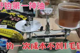 野钓第一神油免费分享，制作简单，钓一次鱼不到1毛钱！视频封面